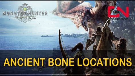 mhw ancient bones.